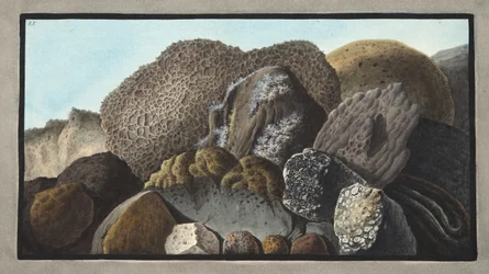 Lava, Scoria, and Pumice stones of Mount Vesuvius, Plate LI, from 